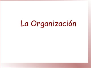 La Organización
 