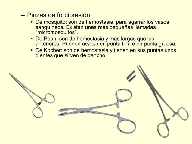 tema-1-necropsias-realizaci-n-del-proceso-de-preparaci-n-de-la