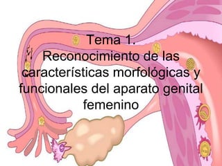 Tema 1.
Reconocimiento de las
características morfológicas y
funcionales del aparato genital
femenino
 