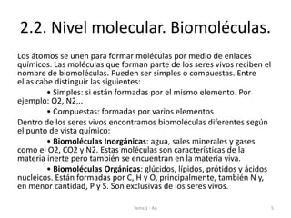2.2. Nivel molecular. Biomoléculas.
Los átomos se unen para formar moléculas por medio de enlaces
químicos. Las moléculas que forman parte de los seres vivos reciben el
nombre de biomoléculas. Pueden ser simples o compuestas. Entre
ellas cabe distinguir las siguientes:
• Simples: si están formadas por el mismo elemento. Por
ejemplo: O2, N2,..
• Compuestas: formadas por varios elementos
Dentro de los seres vivos encontramos biomoléculas diferentes según
el punto de vista químico:
• Biomoléculas Inorgánicas: agua, sales minerales y gases
como el O2, CO2 y N2. Estas moléculas son características de la
materia inerte pero también se encuentran en la materia viva.
• Biomoléculas Orgánicas: glúcidos, lípidos, prótidos y ácidos
nucleicos. Están formadas por C, H y O, principalmente, también N y,
en menor cantidad, P y S. Son exclusivas de los seres vivos.
Tema 1 - AA 5
 
