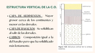 CAPA DE SEDIMENTOS - Mayor
grosor cerca de los continentes y
menor en las dorsales.
CAPA DE BASALTOS - Se solidifican
al salir de las dorsales.
GABROS - Composición igual a la
del basalto pero que ha solidificado
más lentamente.
ESTRUCTURA VERTICAL DE LA C.O.
 