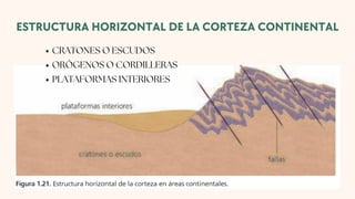ESTRUCTURA HORIZONTAL DE LA CORTEZA CONTINENTAL
CRATONES O ESCUDOS
ORÓGENOS O CORDILLERAS
PLATAFORMAS INTERIORES
 
