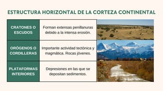 CRATONES O
ESCUDOS
Forman extensas penillanuras
debido a la intensa erosión.
ORÓGENOS O
CORDILLERAS
Importante actividad tectónica y
magmática. Rocas jóvenes.
PLATAFORMAS
INTERIORES
Depresiones en las que se
depositan sedimentos.
ESTRUCTURA HORIZONTAL DE LA CORTEZA CONTINENTAL
 