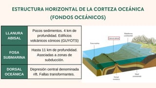 LLANURA
ABISAL
Pocos sedimentos. 4 km de
profundidad. Edificios
volcánicos cónicos (GUYOTS)
FOSA
SUBMARINA
Hasta 11 km de profundidad.
Asociadas a zonas de
subducción.
DORSAL
OCEÁNICA
Depresión central denominada
rift. Fallas transformantes.
ESTRUCTURA HORIZONTAL DE LA CORTEZA OCEÁNICA
(FONDOS OCEÁNICOS)
 