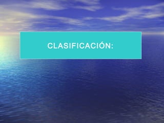 CLASIFICACIÓN:

 