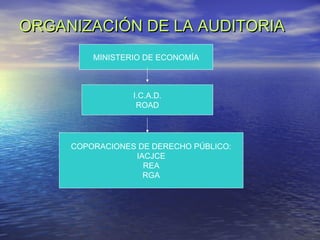 ORGANIZACIÓN DE LA AUDITORIA
MINISTERIO DE ECONOMÍA

I.C.A.D.
ROAD

COPORACIONES DE DERECHO PÚBLICO:
IACJCE
REA
RGA

 