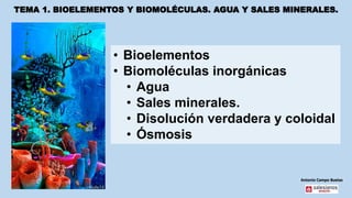 TEMA 1. BIOELEMENTOS Y BIOMOLÉCULAS. AGUA Y SALES MINERALES.
Antonio Campo Buetas
• Bioelementos
• Biomoléculas inorgánicas
• Agua
• Sales minerales.
• Disolución verdadera y coloidal
• Ósmosis
 