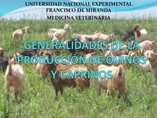 Generalidades de la Producción de Ovinos y Caprinos