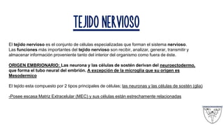 TEJIDO NERVIOSO
El tejido nervioso es el conjunto de células especializadas que forman el sistema nervioso.
Las funciones más importantes del tejido nervioso son recibir, analizar, generar, transmitir y
almacenar información proveniente tanto del interior del organismo como fuera de éste.
ORIGEN EMBRIONARIO: Las neurona y las células de sostén derivan del neuroectodermo,
que forma el tubo neural del embrión. A excepción de la microglia que su origen es
Mesodermico
El tejido esta compuesto por 2 tipos principales de células; las neuronas y las células de sostén (glia)
-Posee escasa Matriz Extracelular (MEC) y sus células están estrechamente relacionadas
 