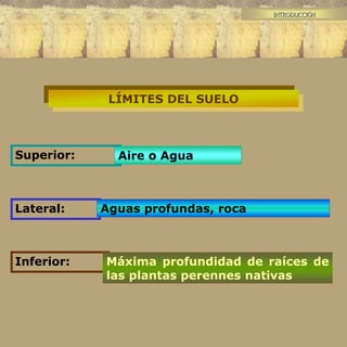 INTRODUCCIÓN
LÍMITES DEL SUELO
Superior: Aire o Agua
Lateral: Aguas profundas, roca
Inferior: Máxima profundidad de raíces de
las plantas perennes nativas
 