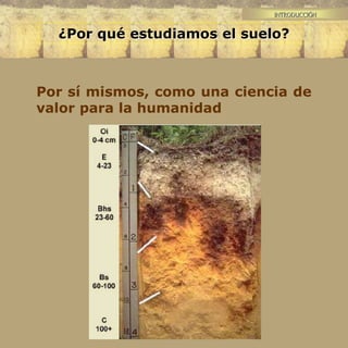 INTRODUCCIÓN
¿Por qué estudiamos el suelo?
Por sí mismos, como una ciencia de
valor para la humanidad
 