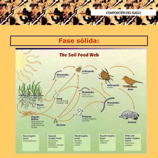 COMPOSICIÓNDELSUELO
Fase sólida:
 
