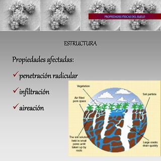 PROPIEDADESFÍSICASDEL SUELO
ESTRUCTURA
Propiedades afectadas:
penetración radicular
infiltración
aireación
 