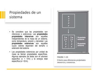 Variables Extensivas Termodinámica propiedades extensivas e intensivas .pptx
