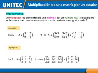 Multiplicación de una matriz por un escalar
Procedimiento:
Al multiplicar los elementos de una matriz A por un número real (k) cualquiera
obtendremos el resultado como una matriz de dimensión igual a la de A.
Ejemplo 1:
Ejemplo 2:
 