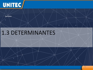 18
1.3 DETERMINANTES
 