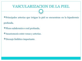 VASCULARIZACION DE LA PIEL
Principales arterias que irrigan la piel se encuentran en la hipodermis
profunda.
Plexo subdermico o red profunda.
Anastomosis entre venas y arterias.
Drenaje linfático importante.
 