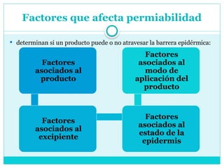 Factores que afecta permiabilidad
 determinan si un producto puede o no atravesar la barrera epidérmica:
Factores
asociados al
producto
Factores
asociados al
excipiente
Factores
asociados al
estado de la
epidermis
Factores
asociados al
modo de
aplicación del
producto
 