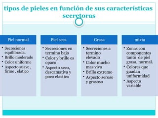 tipos de pieles en función de sus características
secretoras
Piel normal
• Secreciones
equilibrada.
• Brillo moderado
• Color uniforme
• Aspecto suave ,
firme , elatico
Piel seca
• Secreciones en
termino bajo
• Color y brillo es
opaco
• Aspecto seco,
descamativa y
poco elastica
Grasa
• Secreciones a
termino
elevado
• Color mucho
mas vivo
• Brillo extremo
• Aspecto seroso
y grasoso
mixta
• Zonas con
componentes
tanto de piel
grasa, normal.
• Colores que
guadan
uniformidad
• Aspecto
variable
 