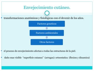Envejecimiento cutáneo.
 transformaciones anatómicas y fisiológicas con el devenir de los años.
 el proceso de envejecimiento afectan a todas las estructuras de la piel.
 daño mas visible “superficie cutanea” (arrugas): ortoestatica (flexion y dinamica)
Factores geneticos
Factores ambientales
Otros factores
 