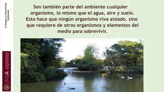 Son también parte del ambiente cualquier
organismo, lo mismo que el agua, aire y suelo.
Esto hace que ningún organismo viva aislado, sino
que requiere de otros organismos y elementos del
medio para sobrevivir.
 