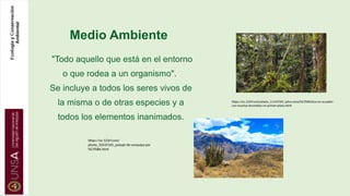 "Todo aquello que está en el entorno
o que rodea a un organismo".
Se incluye a todos los seres vivos de
la misma o de otras especies y a
todos los elementos inanimados.
Medio Ambiente
https://es.123rf.com/photo_11143769_selva-amaz%C3%B3nica-en-ecuador-
con-muchas-bromelias-en-primer-plano.html
https://es.123rf.com/
photo_50535105_paisaje-de-arequipa-per
%C3%BA.html
 