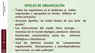 NIVELES DE ORGANIZACIÓN
• Todos los organismos en el ambiente se hallan
organizados y agrupados en niveles bióticos en
orden jerárquico.
• Jerarquía significa "un orden dentro de una serie de
grados".
• Las interacciones del medio físico (energía –
materia) con el mundo biológico, producen sistemas
funcionales característicos como los sistemas
biológicos o biosistemas.
• Aquí los sistemas constan de "componentes
regularmente interactuantes e interdependientes
que forman un todo unificado".
 