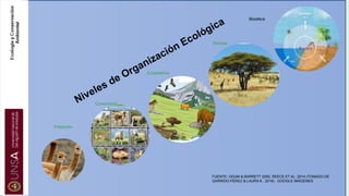 Niveles de Organización Ecológica
Población
Comunidad
Ecosistema
Biosfera
Biomas
FUENTE: ODUM & BARRETT 2005, REECE ET AL. 2014 (TOMADO DE
GARRIDO-PÉREZ & LAURA K., 2016) . GOOGLE IMÁGENES
 
