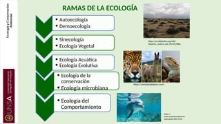 RAMAS DE LA ECOLOGÍA
• Autoecología
• Demoecología
• Sinecología
• Ecología Vegetal
• Ecología Acuática
• Ecología Evolutiva
• Ecología de la
conservación
• Ecología microbiana
• Ecología del
Comportamiento
https://
www.muyinteresante.es/
naturaleza/2847.html
https://animalesdelperu.com/
https://es.wikipedia.org/wiki/
Desierto_costero_del_Per%C3%BA
 