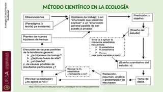 https://www.scielo.cl/scielo.php?script=sci_arttext&pid=S0716-078X2013000400002
MÉTODO CIENTÍFICO EN LA ECOLOGÍA
 