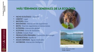 MÁS TÉRMINOS GENERALES DE LA ECOLOGÍA
• NICHO ECOLÓGICO : Función
• HÁBITAT: Lugar
• BIOTOPO: Área
• BIOCENOSIS: Interacción de organismos
• BIOTA: Total de organismos e interacciones
• ECÓSFERA: Interacción global
• ECOTONO: Zona de transición
• CLÍMAX: Estado final
• PRODUCCIÓN PRIMARIA: Conversión de energía
• HOMEOSTASIS: Equilibrio
• AGUAS SERVIDAS: Aguas residuales
• ANTIBIOSIS: Interacción biológica
Fuente: Flores et al., 2012
Google imágenes
 