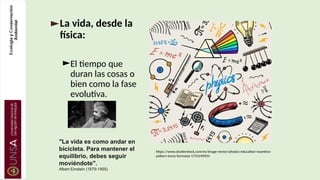 ►La vida, desde la
física:
►El tiempo que
duran las cosas o
bien como la fase
evolutiva.
"La vida es como andar en
bicicleta. Para mantener el
equilibrio, debes seguir
moviéndote".
Albert Einstein (1879-1955)
https://www.shutterstock.com/es/image-vector/physics-education-seamless-
pattern-icons-formulas-1731590935
 