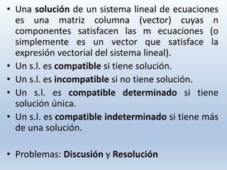 TEMA 1.Modelos economicos lineales ceu san pablo | PDF