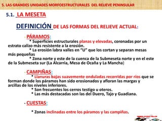 DEFINICIÓN DE LAS FORMAS DEL RELIEVE ACTUAL:
- PÁRAMOS:
* Superficies estructurales planas y elevadas, coronadas por un
estrato calizo más resistente a la erosión.
* La erosión labra valles en “U” que los cortan y separan mesas
más pequeñas
* Zona norte y este de la cuenca de la Submeseta norte y en el este
de la Submeseta sur (La Alcarria, Mesa de Ocaña y La Mancha)
- CAMPIÑAS:
* Llanuras bajas suavemente onduladas recorridas por ríos que se
forman donde los páramos han sido erosionados y afloran las margas y
arcillas de los niveles inferiores.
* Son frecuentes los cerros testigo u oteros.
* Las más destacadas son las del Duero, Tajo y Guadiana.
- CUESTAS:
* Zonas inclinadas entre los páramos y las campiñas.
MARIO VICEDO PELLÍN10
5.1. LA MESETA
5. LAS GRANDES UNIDADES MORFOESTRUCTURALES DEL RELIEVE PENINSULAR
 