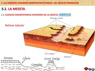 5.1. LA MESETA
1.3. CUENCAS SEDIMENTARIAS INTERIORES DE LA MESETA: GRÁFICO
Relieve tabular
5. LAS GRANDES UNIDADES MORFOESTRUCTURALES DEL RELIEVE PENINSULAR
 
