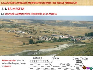 Relieve tabular: vista de
Valbonilla (Burgos) desde
el páramo
5.1. LA MESETA
1.3. CUENCAS SEDIMENTARIAS INTERIORES DE LA MESETA
5. LAS GRANDES UNIDADES MORFOESTRUCTURALES DEL RELIEVE PENINSULAR
 