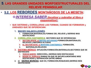 5. LAS GRANDES UNIDADES MORFOESTRUCTURALES DEL
RELIEVE PENINSULAR
• 5.2. LOS REBORDES MONTAÑOSOS DE LA MESETA:
INTERESA SABER (localizar y subrallar al libro o
esquematizar):
 QUE SISTEMAS y CORDILLERAS LOS FORMAN, CUANDO SE FORMARON y
UNIDADES QUE SE DIFERENCIAN:
1. MACIZO GALAICO-LEONÉS:
1. FORMACION,MATERIALES,FORMAS DEL RELIEVE y SIERRAS MAS
DESTACADAS
2. CORDILLERA CANTÁBRICA: SECTORES QUE SE DIFERENCIAN:
1. SECTOR OESTE, el MACIZO ASTURIANO:FORMACIÓN,MATERIALES,
RELIEVES y MAYORES ALTURAS
2. EL SECTOR ESTE, la MONTAÑA CANTÁBRICA: FORMACIÓN,
3. MATERIALES,RELIEVES
3. SISTEMA IBÉRICO: SITUACIÓN,FORMACIÓN,MATERIALES,SECTORES QUE SE
DISTINGUEN:
1. TERCIO NORTE: DIRECCIÓN y SIERRAS MÁS DESTACADAS
2. DESDE EL SURESTE:RAMAS EN QUE SE BIFURCA,MONTAÑAS MÁS
DESTACADAS y SEPARACIÓN ENTRE AMBAS
4. d) SIERRA MORENA: QUE ES, FORMACIÓN,ROQUEADO,SIERRAS MÁS
DESTACADAS
 