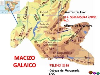 MACIZO
GALAICO •TELENO 2188
•Cabeza de Manzaneda
1700
•Montes de León
•LA SEGUNDERA (2000
m.)
•Sierra de la culebra
 