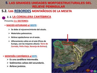 2. 2. LA CORDILLERA CANTÁBRICA
Presenta dos SECTORES:
• MACIZO ASTURIANO al OESTE:
 Se debe al rejuvenecimiento del zócalo.
 Materiales paleozoicos.
 Relieve apalachense en el oeste.
 Afloramiento calizo en el este (Picos de
Europa, con las mayores alturas: Torre de
Cerredo, Peña Vieja, Naranjo de Bulnes).
• MONTAÑA CANTÁBRICA al ESTE:
 Es una cordillera intermedia.
 Sedimentos calizos del secundario.
 Relieve jurásico.
5.2. Los REBORDES MONTAÑOSOS DE LA MESETA
5. LAS GRANDES UNIDADES MORFOESTRUCTURALES DEL
RELIEVE PENINSULAR
 