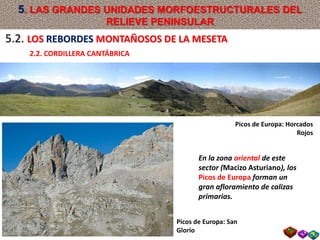 En la zona oriental de este
sector (Macizo Asturiano), los
Picos de Europa forman un
gran afloramiento de calizas
primarias.
Picos de Europa: Horcados
Rojos
Picos de Europa: San
Glorio
5.2. LOS REBORDES MONTAÑOSOS DE LA MESETA
2.2. CORDILLERA CANTÁBRICA
5. LAS GRANDES UNIDADES MORFOESTRUCTURALES DEL
RELIEVE PENINSULAR
 