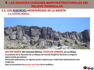 SECTOR NORTE del sistema Ibérico. PICOS DE URBIÓN, en La Rioja.
Es producto de la elevación de un bloque del macizo Hespérico durante la orogenia
alpina (estilo germánico).
Materiales paleozoicos, en algunas partes cubiertos por materiales sedimentarios más
modernos.
Aquí se encuentran los puntos más altos de la cordillera.
5.2. LOS REBORDES MONTAÑOSOS DE LA MESETA
2.3. SISTEMA IBÉRICO
5. LAS GRANDES UNIDADES MORFOESTRUCTURALES DEL
RELIEVE PENINSULAR
 