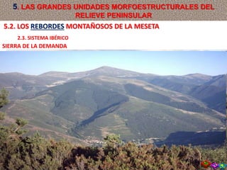 SIERRA DE LA DEMANDA
5.2. LOS REBORDES MONTAÑOSOS DE LA MESETA
2.3. SISTEMA IBÉRICO
5. LAS GRANDES UNIDADES MORFOESTRUCTURALES DEL
RELIEVE PENINSULAR
 