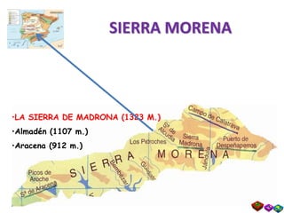 SIERRA MORENA
•LA SIERRA DE MADRONA (1323 M.)
•Almadén (1107 m.)
•Aracena (912 m.)
 