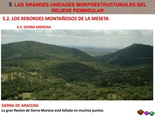 SIERRA DE ARACENA
La gran flexión de Sierra Morena está fallada en muchos puntos.
5.2. LOS REBORDES MONTAÑOSOS DE LA MESETA
2.4. SIERRA MORENA
5. LAS GRANDES UNIDADES MORFOESTRUCTURALES DEL
RELIEVE PENINSULAR
 