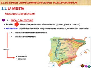 • Erosión
• Penillanuras: superficies de erosión muy suavemente onduladas, con escasos desniveles.
 Penillanura zamorano-salmantina
 Penillanura extremeña
Materiales paleozoicos al descubierto (granito, pizarra, cuarcita)
• Montes isla
• Gargantas
1.1. ZÓCALO PALEOZOICO
5. LAS Grandes unidades morfoestructurales -
5.1. LA MESETA
aparecen
B.5. LAS GRANDES UNIDADES MORFOESTRUCTURALES DEL RELIEVE PENINSULAR
ÁREAS QUE SE DIFERENCIAN:
 