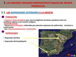 FORMACIÓN:
- Cuencas o fosas prealpinas que, tras la orogénesis terciaria, quedaron entre las
cordilleras alpinas y los macizos antiguos.
SITUACIÓN ACTUAL:
- Tienen forma triangular, rellenadas por potentes espesores de sedimentos terciarios y
cuaternarios.
- Son relieves prácticamente horizontales.
DEPRESIONES:
• Depresión del Ebro
• Depresión del Guadalquivir
5.3. LAS DEPRESIONES EXTERIORES A LA MESETA
5. LAS GRANDES UNIDADES MORFOESTRUCTURALES DEL RELIEVE
PENINSULAR
 