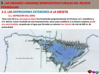 Leiva
Logroño Río Ebro
Burgos
Cordillera
Ibérica
S. de Cantabria Pirineos
Hace unos 50 m.a., la orogenia alpina fue levantando progresivamente los Pirineos, la C. Cantábrica y
el S. Ibérico. Como resultado de este levantamiento, entre estas cordilleras y la Costero-catalana quedó
una zona hundida, ocupada por el agua que formaba un extenso mar interior de más de 600 m. de
profundidad.
C. Cantábrica
Sª. de la
Demanda
Burgos
Logroño
Pirineos
Sistema
Ibérico
Sª. de Cantabria
5.3. LAS DEPRESIONES EXTERIORES A LA MESETA
3.1. DEPRESIÓN DEL EBRO
5. LAS GRANDES UNIDADES MORFOESTRUCTURALES DEL RELIEVE
PENINSULAR
 