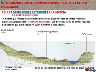 A medida que los ríos iban excavando sus valles, dejaban capas de cantos rodados a
distintos niveles: son las TERRAZAS FLUVIALES. Los diversos niveles de cantos rodados
demuestran que el río circuló en algún momento a esas alturas.
Terrazas fluviales
(Cantos rodados)
Cerro Grañón
(760 m) Depósito de aguas (625
m)
Leiva (574 m)
Peña (675 m)
5.3. LAS DEPRESIONES EXTERIORES A LA MESETA
3.1. DEPRESIÓN DEL EBRO
Corte de la depresión del Ebro en la zona de Leiva (La Rioja)
5. LAS GRANDES UNIDADES MORFOESTRUCTURALES DEL RELIEVE
PENINSULAR
 