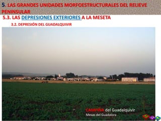 CAMPIÑA del Guadalquivir
Mesas del Guadalora
5.3. LAS DEPRESIONES EXTERIORES A LA MESETA
3.2. DEPRESIÓN DEL GUADALQUIVIR
5. LAS GRANDES UNIDADES MORFOESTRUCTURALES DEL RELIEVE
PENINSULAR
 