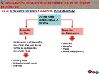 DEPRESIONES
EXTERIORES A LA
MESETA
Depresión
del Ebro
Depresión
del Guadalquivir
• Somontanos o piedemontes:
materiales gruesos y duros
• Centro de la depresión:
materiales finos
• Mallos y hoyas
• Relieve horizontal: muelas
• Badlands
con
con
5.3. LAS DEPRESIONES EXTERIORES A LA MESETA- ESQUEMA RESUM
• Marismas
• Campiñas
• Mesas
• Cerros testigo (alcores)
5. LAS GRANDES UNIDADES MORFOESTRUCTURALES DEL RELIEVE
PENINSULAR
 
